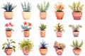 Watercolor Houseplants Set Collection.