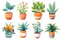 Watercolor Houseplants Set Collection.