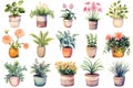 Watercolor Houseplants Set Collection.