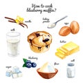 Watercolor `How to cook blueberry vanilla muffin` hand drawn illustration isolated on white. Recipe and ingredients Royalty Free Stock Photo