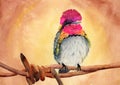 Watercolor hummingbird with colorful pink, green and gold iridescent feathers