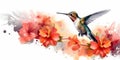Watercolor Hummingbird And Flowers with white background generative AI Royalty Free Stock Photo