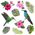 Watercolor Hummingbird, HibisÃÂus Flowers and Tropical Palm Leaves. Hand Drawn Exotic Colibri Birds and Floral Elements