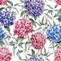 Watercolor hydrangea and eucalyptus pattern. Hand painted blue, violet, pink flowers with eucalyptus leaves and branch