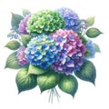 watercolor of Hydrangea flower bouquet and greenery leaves clipa