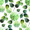 Watercolor hydrangea pattern