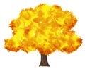 watercolor illuastration of autumn tree on white background Royalty Free Stock Photo