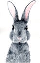 Watercolor illustraion of a gray bunny