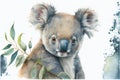 Watercolor illustration of an adorable koala