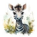watercolor illustration of adorable naive cartoon baby zebra with green plants on white background Royalty Free Stock Photo