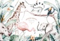 Watercolor illustration of African Animals: lemur, flamingo and giraffe, toucan and rhipo, rhino and elephant isolated