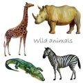 Watercolor illustration, african wild animals. Rhino, crocodile, giraffe, zebra. Isolated freehand drawing on a white background