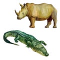 Watercolor illustration, african wild animals. Rhino, crocodile. Isolated freehand drawing on a white background Royalty Free Stock Photo