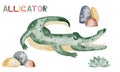 Watercolor illustration of an aligator.