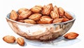 Watercolor Illustration of Almonds in Ceramic Bowl Isolated on White Royalty Free Stock Photo