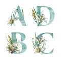 Watercolor illustration, alphabet. A B C D letters made from watercolor texture in delicate blue. Decorated with lily flowers