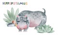 Watercolor illustration of an animal hippopotamus.