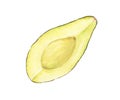 Watercolor illustration of appetizing green sliced hass avocado, isolated