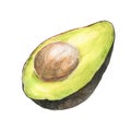 Watercolor illustration of appetizing green sliced hass avocado with pit, isolated
