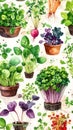 Watercolor Illustration of Assorted Microgreens and Herbs Growing in Pots Royalty Free Stock Photo