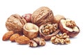 Watercolor illustration of an assortment of nuts, including walnuts, almonds, and hazelnuts, scattered on a white Royalty Free Stock Photo
