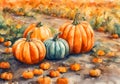 Watercolor illustration of autumm pumpkin harvest and leaves on the ground.