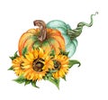 Watercolor illustration Autumn composition of flowers of two pumpkins and a sunflower. Royalty Free Stock Photo