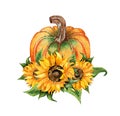 Watercolor illustration autumn composition of pumpkin and sunflower flowers Royalty Free Stock Photo