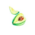 Watercolor illustration avocado whole and slice isolated on white background. Hand painting on paper
