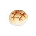 Watercolor illustration baked bread round