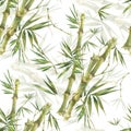 Watercolor illustration of bamboo leaves , seamless pattern on white Royalty Free Stock Photo