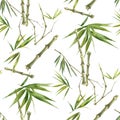 Watercolor illustration of bamboo leaves , seamless pattern on white Royalty Free Stock Photo