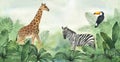 Watercolor illustration banner, frame or template composition of tropical leaves, giraffe, zebra and bird toucan