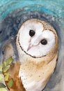 Watercolor illustration of a barn owl with spotted white and brown feathers