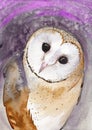 Watercolor illustration of a barn owl with spotted white and brown feathers