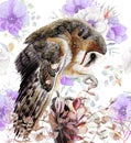 Watercolor illustration of a beautiful barn owl Royalty Free Stock Photo