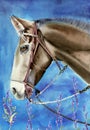 Watercolor illustration of a beautiful brown horse on a grey blue background Royalty Free Stock Photo