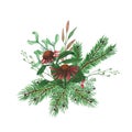 Watercolor illustration of a beautiful Christmas composition Christmas tree branch