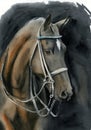 Watercolor illustration of a beautiful and graceful brown horse bowing its head