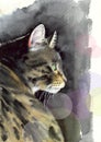 Watercolor illustration of a beautiful gray-black tabby cat with green eyes