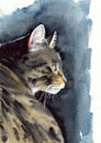 Watercolor illustration of a beautiful gray-black tabby cat with green eyes