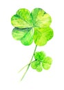 Watercolor illustration of a beautiful green clover for St. Patrick`s day.Isolated on white background