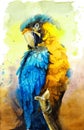 Watercolor illustration of a beautiful macaw parrot with colorful yellow and blue feathers sitting on a branch Royalty Free Stock Photo