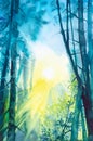 Watercolor illustration of a beautiful Russian forest at a bright summer sunset Royalty Free Stock Photo