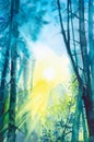 Watercolor illustration of a beautiful Russian forest at a bright summer sunset