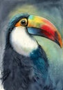 Watercolor illustration of a beautiful toucan with a colorful red-orange large beak and black feathers