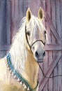 Watercolor illustration of a beautiful white horse with a turquoise harness adorned with white tassels Royalty Free Stock Photo