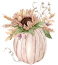 Watercolor illustration of the beige pumpkin decorated with sunflower, berries, dill flowers and ears of wheat.