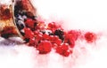 Watercolor Illustration Berries Royalty Free Stock Photo