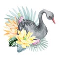 Black swans with flowers and plants. Royalty Free Stock Photo